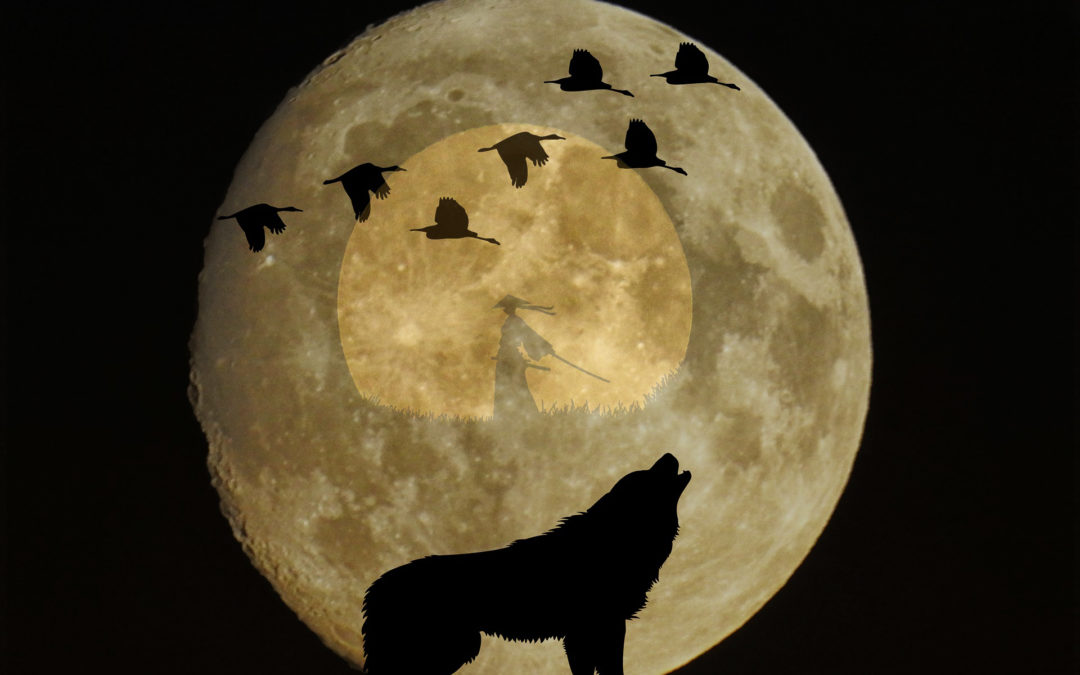 Atelier Chakradance & DU « Ancrage, Instinct primal, Nature sauvage »